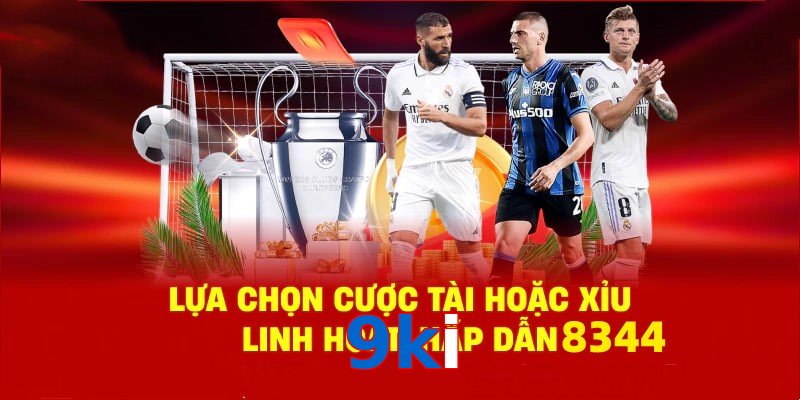 Danh mục đa dạng, đoán chuẩn là nhận tiền