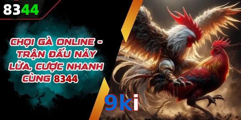 Đá gà 9ki có rất nhiều ưu điểm vượt trội so với sân chơi khác