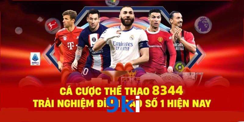 Đá Gà Philippines – Tinh Hoa Truyền Thống Và Thể Thao 